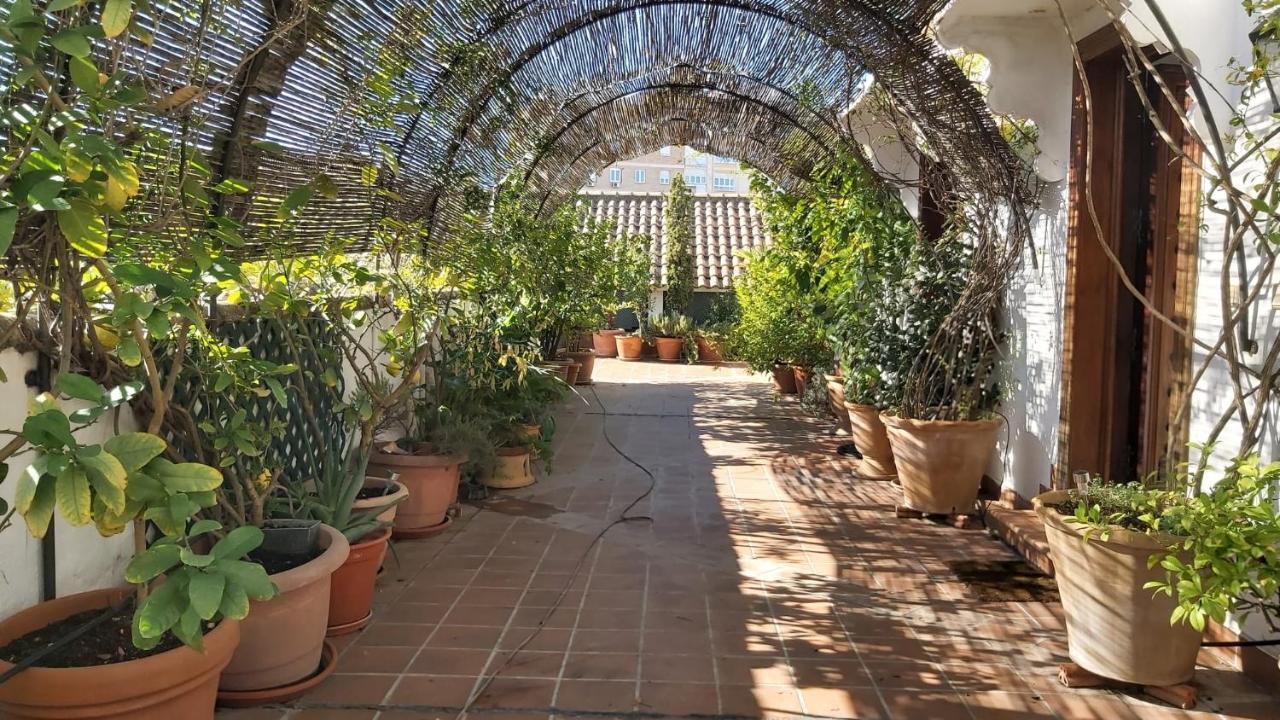 קורדובה El Jardin De Wallada מראה חיצוני תמונה